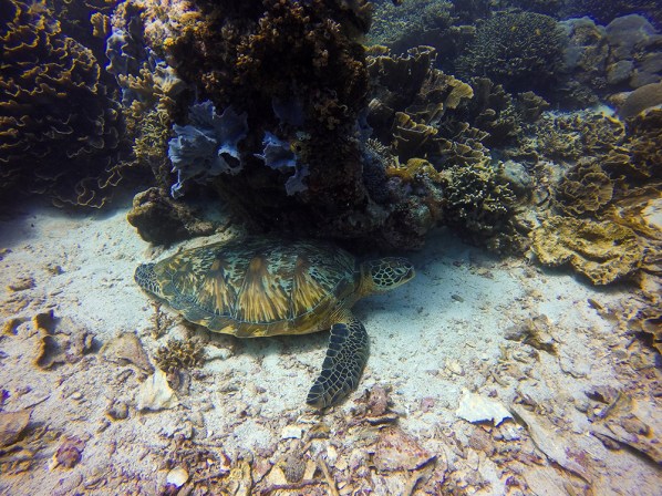 DCIM100GOPROGOPR0937.