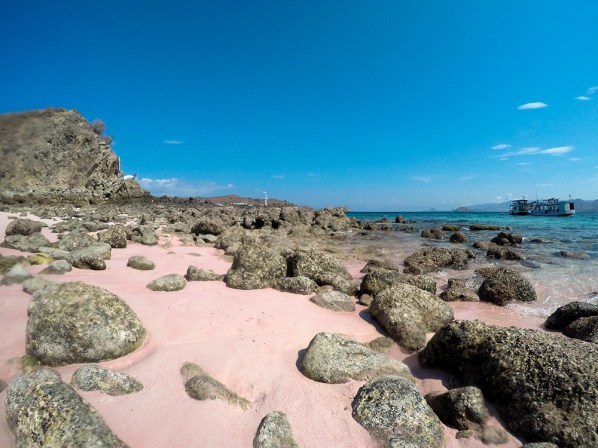 DCIM100GOPROGOPR0951.