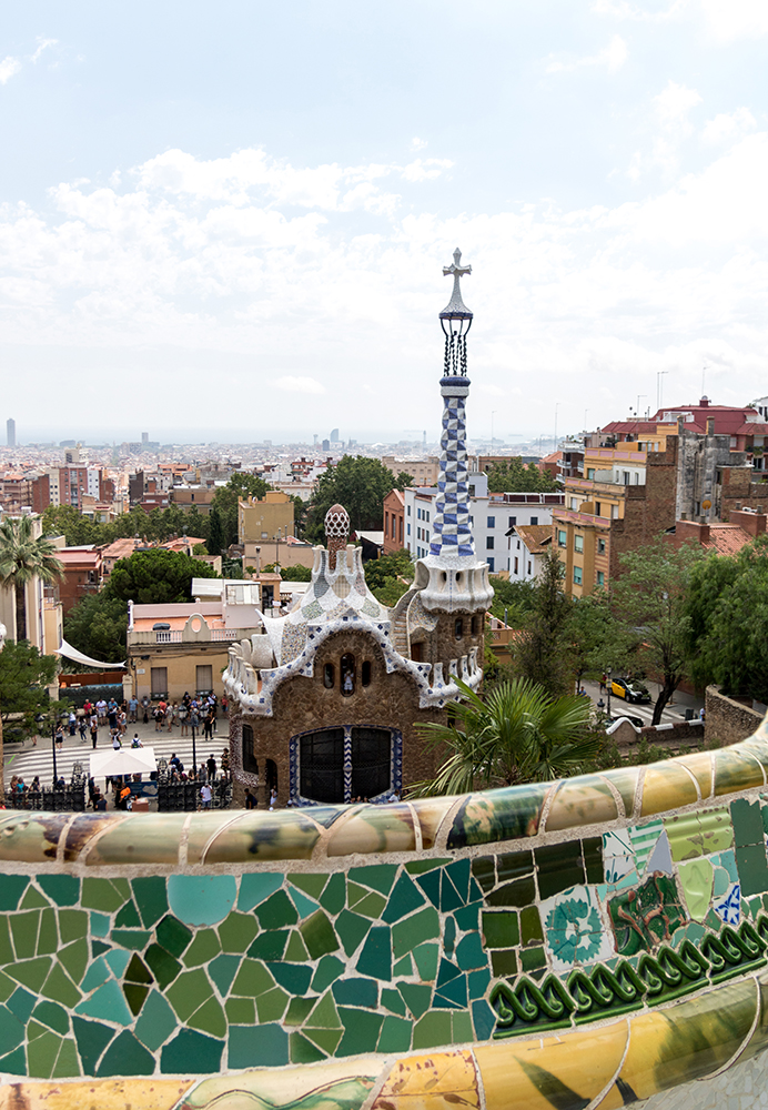 IMG_5846_focus_stack copy